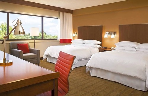 Moncton Hotel | Four Points by Sheraton Moncton