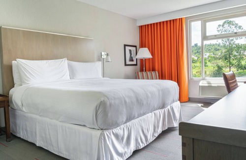 Turabo Hotel | Four Points by Sheraton Caguas Real Hotel & Casino