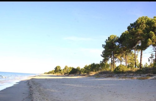 Ghisonaccia Apartment | Four rooms apartment Ghisonaccia - 150 m from the beach