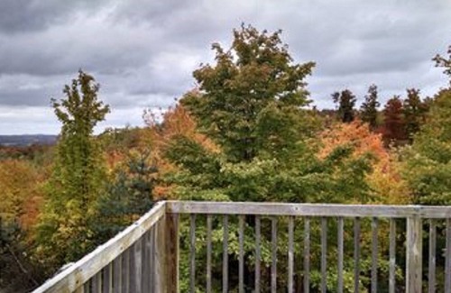 Mancelona Cabin | Four Season Cabin Great for Family and Couples Retreat