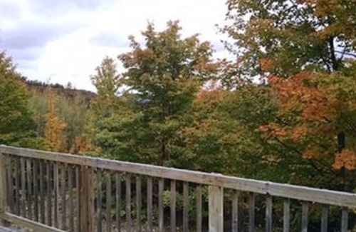 Mancelona Cabin | Four Season Cabin Great for Family and Couples Retreat