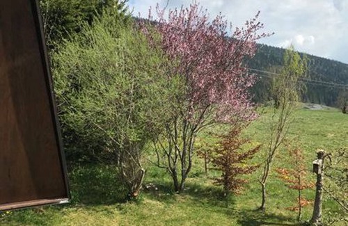 Autrans-Meaudre-en-Vercors Ski Chalet | Chalet Autrans-Méaudre-en-Vercors-Autrans, 2 bedrooms, 6 persons