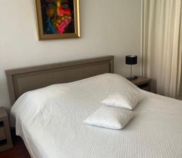 Bergen op Zoom Apartment | Franciscus