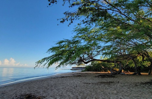 Cabo Rojo House | Fransheska CasaPlayanDiscover Your Perfect Family Getaway!