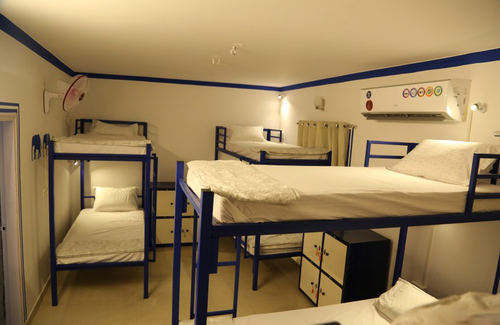 C-Scheme Hotel | Free Birds