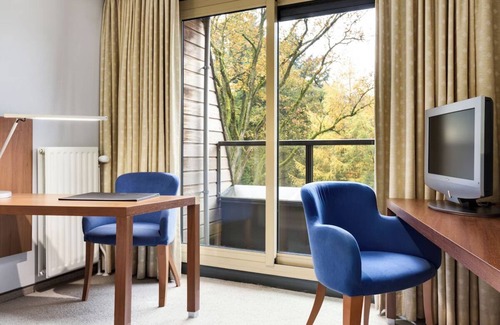 Nunspeet Hotel | Free Parking Nature Room Near Windmills Heated Pool and Dog Access