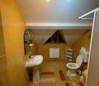 Rasnov House | Freemont