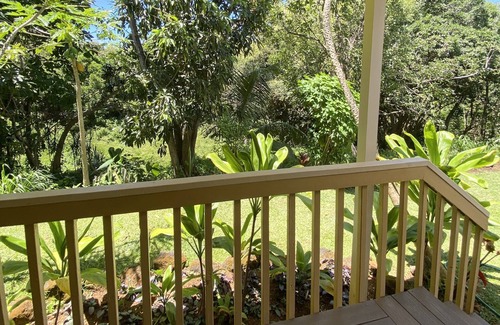Princeville Condo | Fresh, Bright, New! Near Hanalei. Walk to the ocean in minutes.