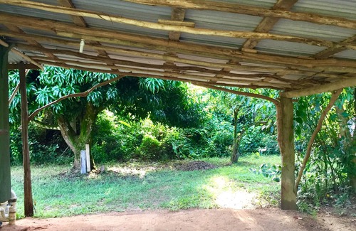 Hopkins Cabin | Freshwater Creek Cabin, nature and bird watching right from your porch.