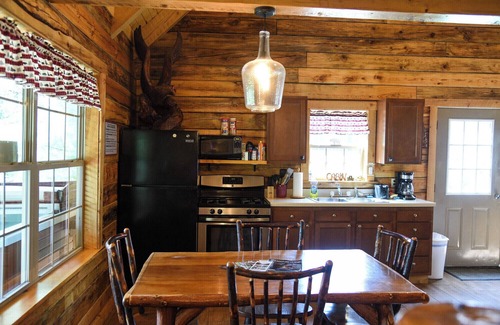 Leeper Cabin | Friendly Bear Log Cabin near Cook Forest State Park