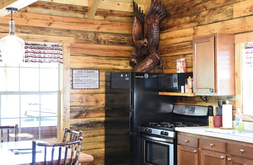 Leeper Cabin | Friendly Bear Log Cabin near Cook Forest State Park