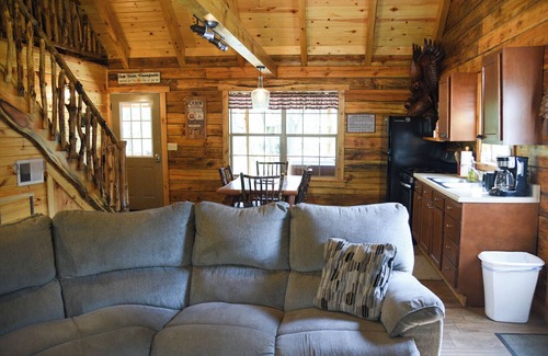 Leeper Cabin | Friendly Bear Log Cabin near Cook Forest State Park