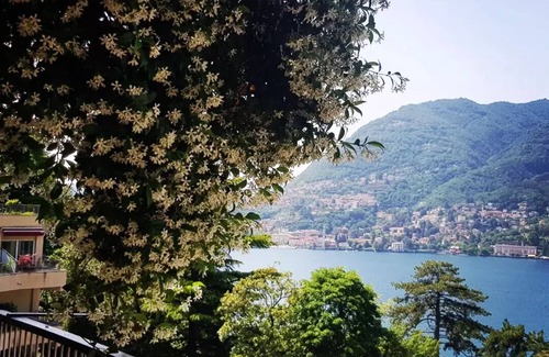 Blevio Apartment | From the apartment and terrace view of the Lake, and with private parking space