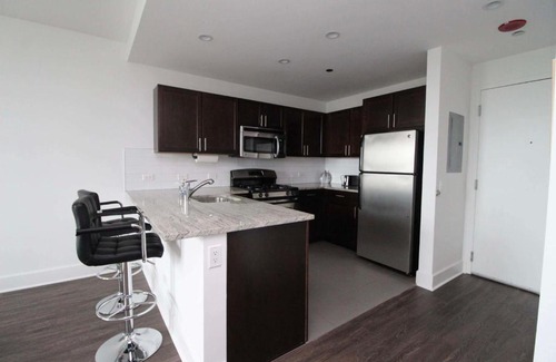 East Hyde Park Apartment | FRONTDESK Dashing 1 BR Apt near The Smart Museum