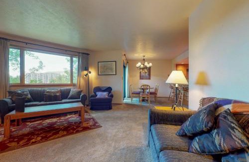 Mountain House Apartment | Frostfire Condominiums B19