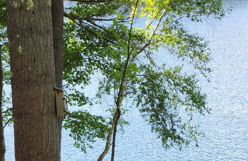 Moultonborough House | Fully Remodeled Kanasatka Private Retreat - Boat, Swim, Fish, Snowmobile & More