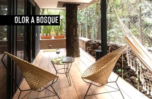 Tepoztlan Apartment | Fungi Tepoz Cabins