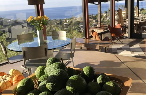Laguna Beach House | Furnished Ocean/Canyon view Architect's sustainable home-w/elevator