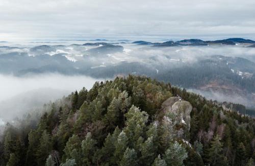 Sankt Leonhard bei Freistadt Bed & Breakfast | Gästehaus Weitblick