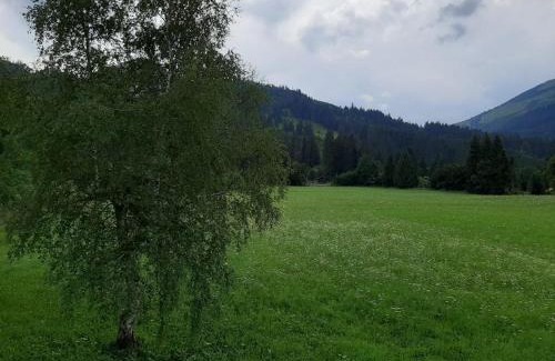 Zoeblen Apartment | Gästehaus Koch