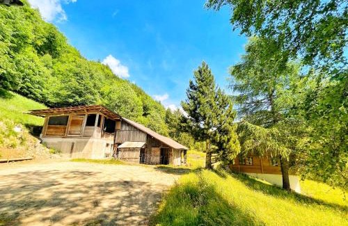 Innertkirchen Apartment | Gästehaus Milital