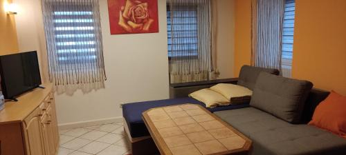 Grimma Apartment | Gästewohnung am Thümmlitzwald