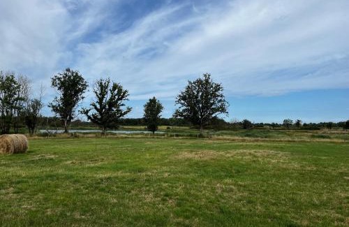 Migne House | Gîte au cœur du Parc de la Brenne avec jardin, terrasse et parking - FR-1-591-317
