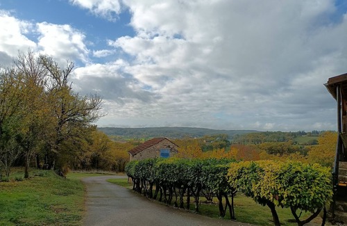 Salviac House | Gîte au Coeur du Périgord n°3