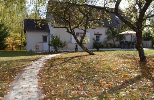 Cangey House | Gîte charmant avec jardin clos près d'Amboise - Équipé pour familles et jeunes enfants - FR-1-381-377