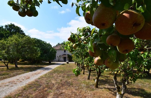 Castella House | Gîte grande capacité avec piscine La Chênaie à Castella