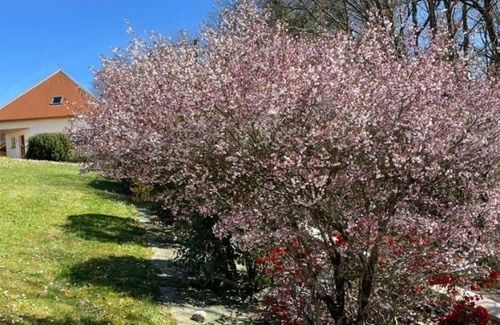 Coarraze Villa | Gîte Kojonomai Pyrénées