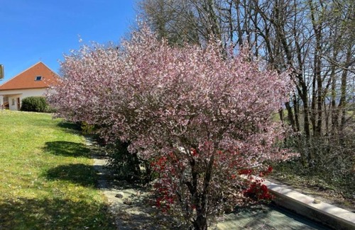 Coarraze Villa | Gîte Kojonomai Pyrénées