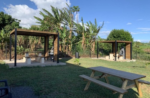 Saint-Pierre De La Reunion House | Gîte Le Moringa