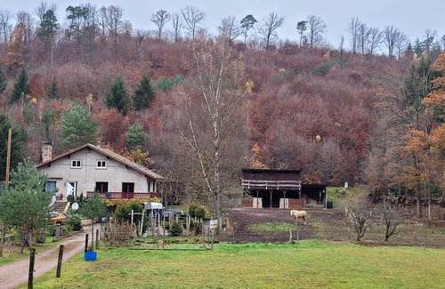 Soucht Other | Gîte mon Chez moi Avec Ânes et Chevaux Pour Randonner en Forêt