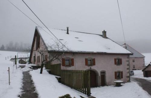 Girmont-Val-d'Ajol House | Gîte paisible à 650m d'alt., nature, cheminée, 3 ch. près de Remiremont & Plombières, terrasse, grand terrain - FR-1-589-50