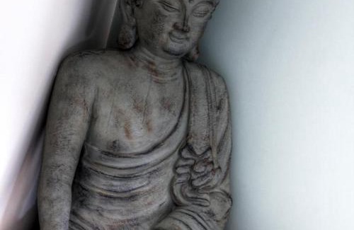 Pinay House | Gîte spa et sauna, nature sereine, animaux admis - FR-1-496-274