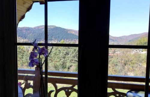 Kroscienko nad Dunajcem House | Góralska Chata Pieniny