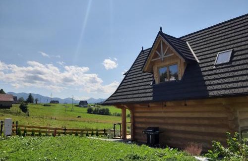 Zab Ski Chalet | Góralski domek z bali SAŁAS
