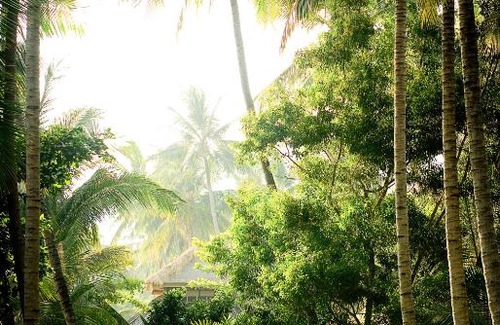 Tejakula Hotel | Gaia-Oasis Beach Resort