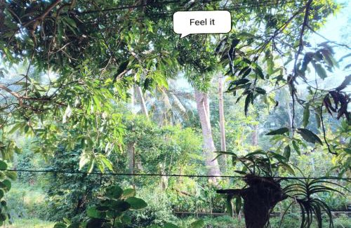 Udawalawa House | Gajaa Corido Safari Homestay