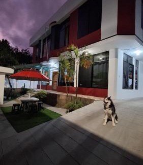 Puerto Ayora Apartment | Galápagos Volcanic