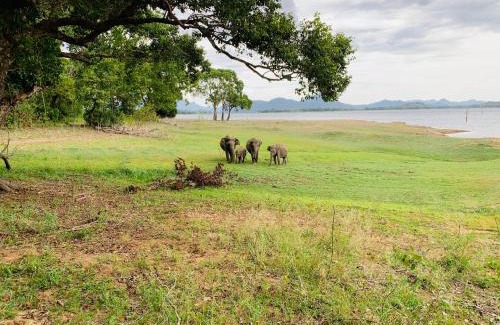 Polwatta House | Gal Oya Lake View Inginiyagala