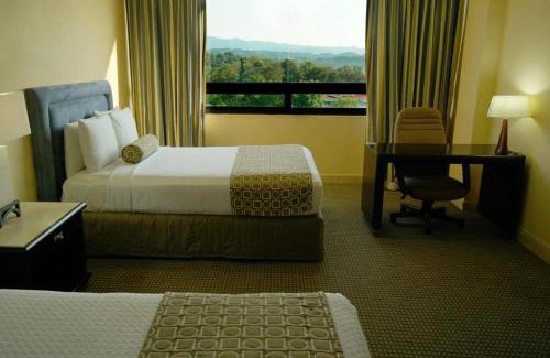 Xalapa Hotel | Gamma by Fiesta Americ Xalapa Nubara