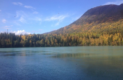 Cooper Landing Apartment | Garage Apartment for Riverfront Log Home on World Famous Kenai River