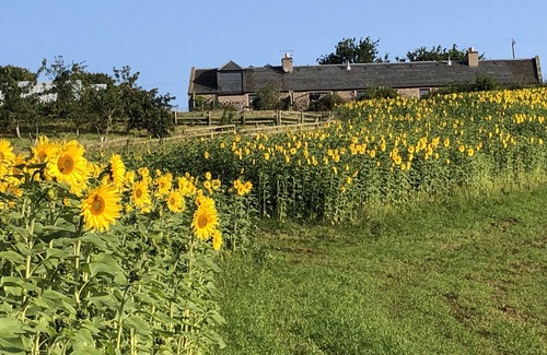 Kelso Cottage | Garden Bank Cottage , on ground level, two bedrooms with two shower rooms