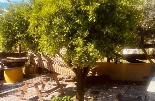 Kalavarda Condo | Garden Bliss at Rhodes Nest - Maistrali Hotel
