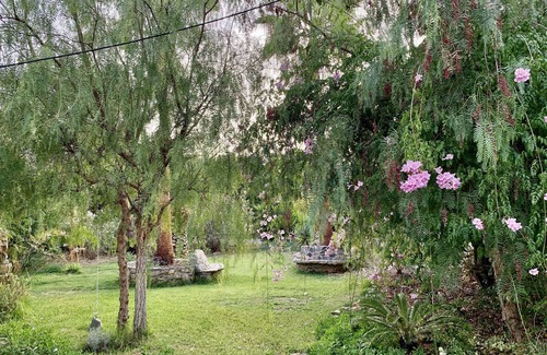 Moncarapacho e Fuseta Cottage | Garden Cottage on Organic Yoga Farm with Natural Swimming Pool near Fuseta Beach