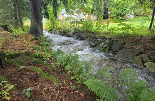 Altenberg Hotel | Garden Depandance Am Bach