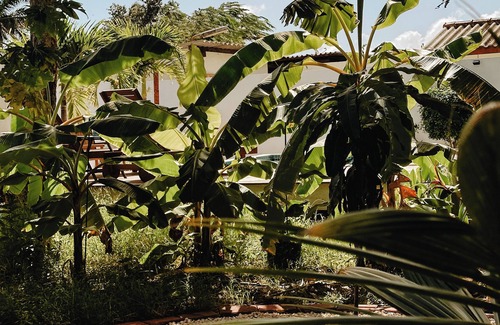 Jongbloed Apartment | Garden of Growth Eco Lodge