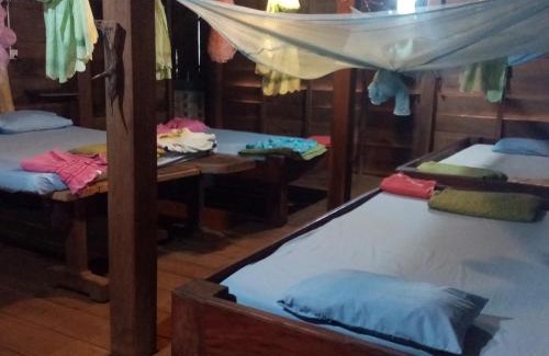 Ban Lung Cabin | Garden View Lodge & Jungle Tour